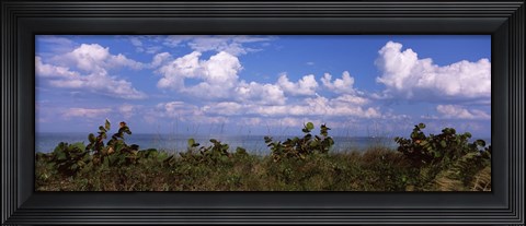 Framed Tampa Bay, Gulf Of Mexico, Anna Maria Island, Florida Print