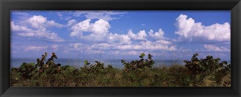 Framed Tampa Bay, Gulf Of Mexico, Anna Maria Island, Florida Print