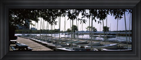 Framed Boats moored at a dock, Charles River, Boston, Suffolk County, Massachusetts, USA Print