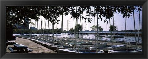 Framed Boats moored at a dock, Charles River, Boston, Suffolk County, Massachusetts, USA Print