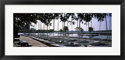 Framed Boats moored at a dock, Charles River, Boston, Suffolk County, Massachusetts, USA Print