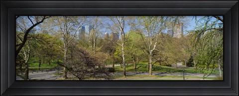 Framed Trees in a park, Central Park West, Central Park, Manhattan, New York City, New York State, USA Print