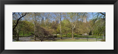 Framed Trees in a park, Central Park West, Central Park, Manhattan, New York City, New York State, USA Print