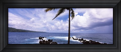 Framed Palm tree on the coast, Honolulu Nui Bay, Nahiku, Maui, Hawaii, USA Print