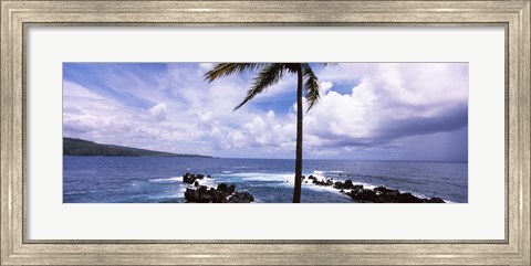 Framed Palm tree on the coast, Honolulu Nui Bay, Nahiku, Maui, Hawaii, USA Print