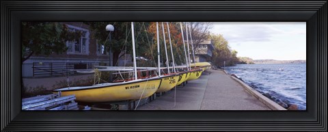 Framed Sailboats in a row, University of Wisconsin, Madison, Dane County, Wisconsin, USA Print