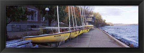 Framed Sailboats in a row, University of Wisconsin, Madison, Dane County, Wisconsin, USA Print