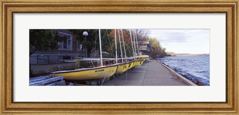 Framed Sailboats in a row, University of Wisconsin, Madison, Dane County, Wisconsin, USA Print