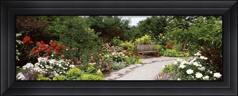 Framed Bench in a garden, Olbrich Botanical Gardens, Madison, Wisconsin, USA Print