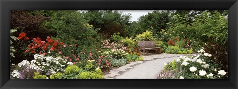 Framed Bench in a garden, Olbrich Botanical Gardens, Madison, Wisconsin, USA Print