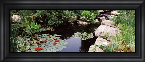 Framed Sunken Garden, Olbrich Botanical Gardens, Madison, Wisconsin Print