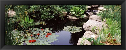 Framed Sunken Garden, Olbrich Botanical Gardens, Madison, Wisconsin Print