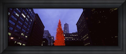 Framed Low angle view of a Christmas tree, San Francisco, California, USA Print