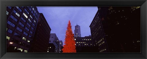 Framed Low angle view of a Christmas tree, San Francisco, California, USA Print