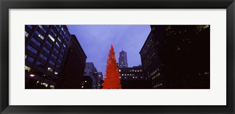 Framed Low angle view of a Christmas tree, San Francisco, California, USA Print