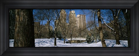 Framed Bare trees with buildings in the background, Central Park, Manhattan, New York City, New York State, USA Print
