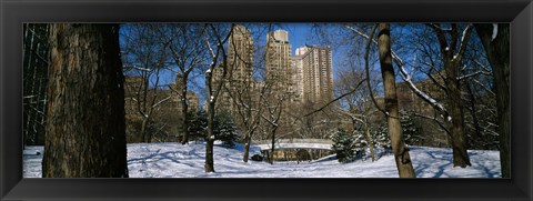 Framed Bare trees with buildings in the background, Central Park, Manhattan, New York City, New York State, USA Print