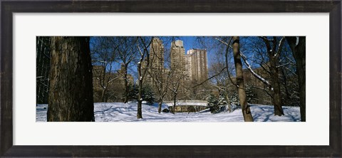 Framed Bare trees with buildings in the background, Central Park, Manhattan, New York City, New York State, USA Print