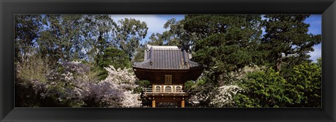 Framed Cherry Blossom trees in a garden, Japanese Tea Garden, Golden Gate Park, San Francisco, California, USA Print