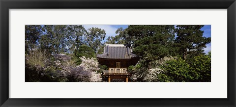 Framed Cherry Blossom trees in a garden, Japanese Tea Garden, Golden Gate Park, San Francisco, California, USA Print