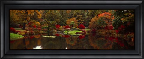 Framed Reflection of trees in water, Japanese Tea Garden, Golden Gate Park, Asian Art Museum, San Francisco, California, USA Print
