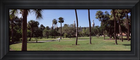 Framed Trees in a campus, University Of Tampa, Florida Print