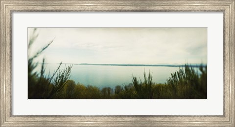 Framed Park along an inlet, Puget Sound, Discovery Park, Magnolia, Seattle, Washington State, USA Print
