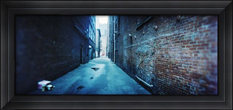 Framed Buildings along an alley, Pioneer Square, Seattle, Washington State, USA Print
