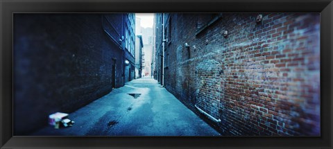 Framed Buildings along an alley, Pioneer Square, Seattle, Washington State, USA Print