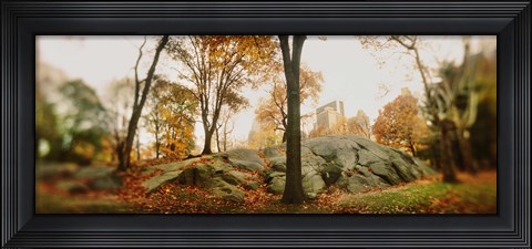 Framed Trees in a park, Central Park, Manhattan, New York City, New York State, USA Print