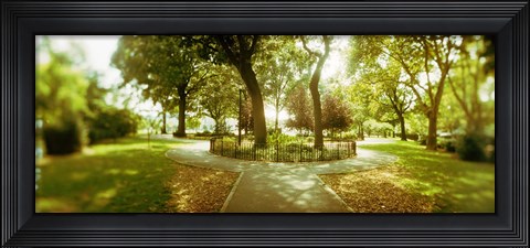 Framed Trees in a park, McCarren Park, Greenpoint, Brooklyn, New York City, New York State, USA Print