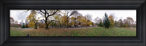 Framed Horse and carriages in a park, Central Park, Manhattan, New York City, New York State, USA Print