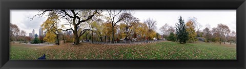 Framed Horse and carriages in a park, Central Park, Manhattan, New York City, New York State, USA Print