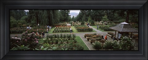 Framed Tourists in a rose garden, International Rose Test Garden, Washington Park, Portland, Multnomah County, Oregon, USA Print