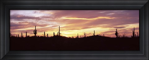 Framed Purple and Orange Sky Over Saguaro Nataional Park, Arizona Print