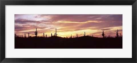 Framed Purple and Orange Sky Over Saguaro Nataional Park, Arizona Print