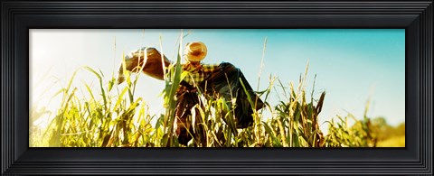 Framed Scarecrow in a corn field, Queens County Farm, Queens, New York City, New York State, USA Print