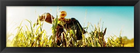 Framed Scarecrow in a corn field, Queens County Farm, Queens, New York City, New York State, USA Print