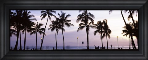Framed Palm trees on the beach, Waikiki, Honolulu, Oahu, Hawaii (black and white) Print