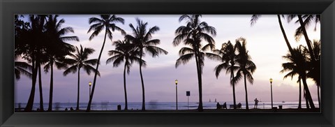 Framed Palm trees on the beach, Waikiki, Honolulu, Oahu, Hawaii (black and white) Print