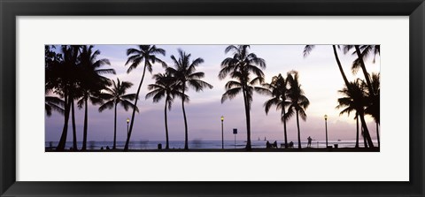 Framed Palm trees on the beach, Waikiki, Honolulu, Oahu, Hawaii (black and white) Print