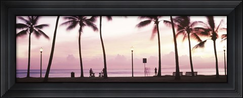 Framed Palm trees on the beach, Waikiki, Honolulu, Oahu, Hawaii Print