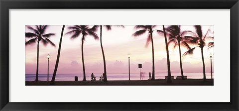 Framed Palm trees on the beach, Waikiki, Honolulu, Oahu, Hawaii Print