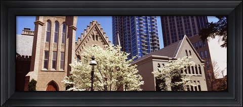 Framed Trees in front of a building, Charlotte, Mecklenburg County, North Carolina, USA Print