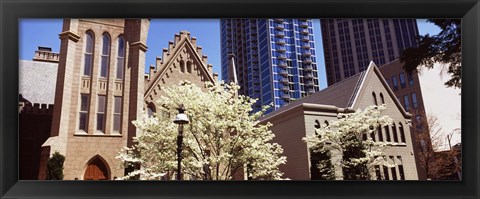 Framed Trees in front of a building, Charlotte, Mecklenburg County, North Carolina, USA Print