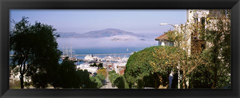 Framed Trees along the Hyde Street, San Francisco, California, USA Print