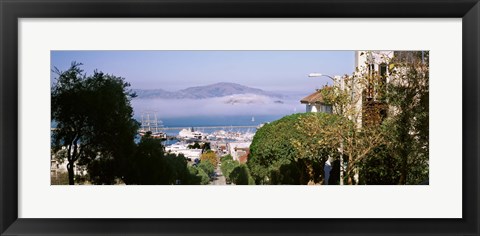 Framed Trees along the Hyde Street, San Francisco, California, USA Print
