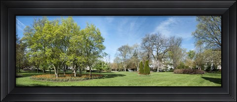 Framed Tulips withTrees at Sherwood Gardens, Baltimore, Maryland, USA Print