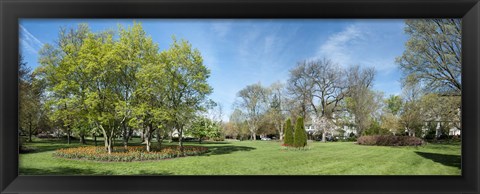 Framed Tulips withTrees at Sherwood Gardens, Baltimore, Maryland, USA Print