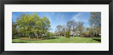 Framed Tulips withTrees at Sherwood Gardens, Baltimore, Maryland, USA Print